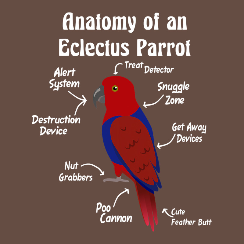 Anatomy Of A Female Eclectus Parrot Long Sleeve Tee by trangStudio | Teevron