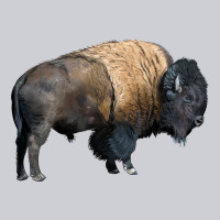 Bison Buffalo Heavyweight Sweatshirt | Teevron