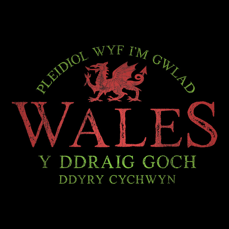 Rugby Welsh Gift Red Dragon Flag Of Wales Long Sleeve Tee by trangStudio | Teevron