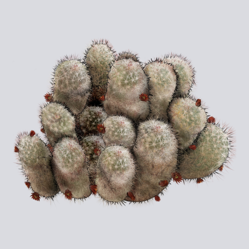 Brown Flowered Cactus Zipper Hoodie by LillyAllenDesigns | Teevron