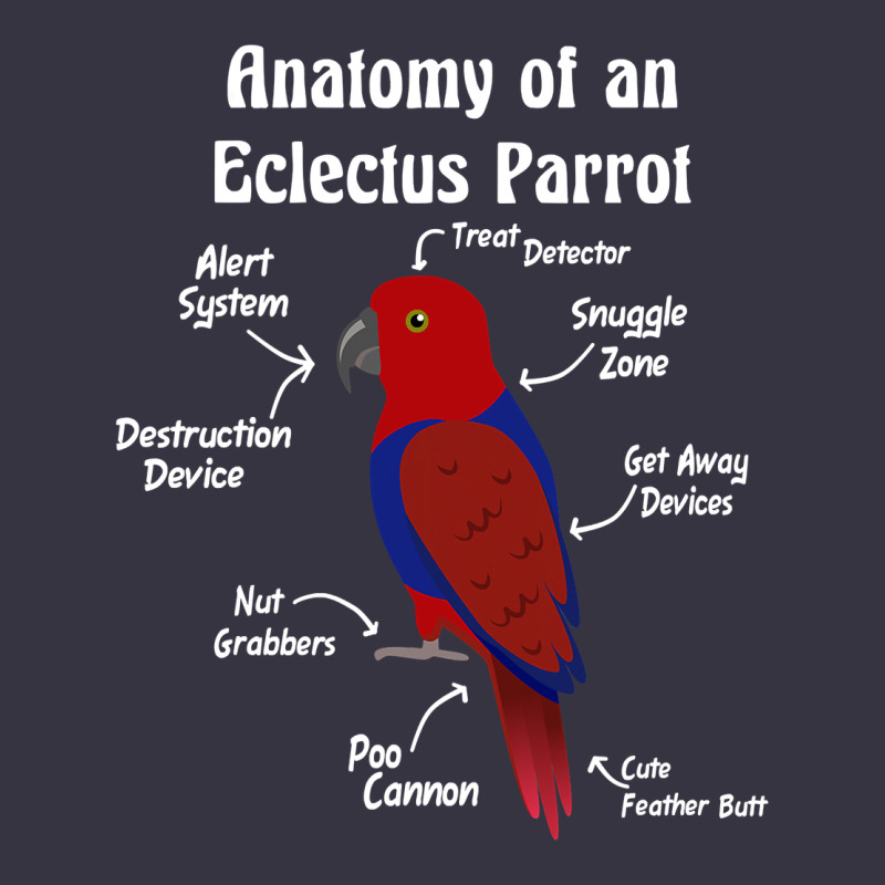 Anatomy Of A Female Eclectus Parrot Vintage Hoodie by trangStudio | Teevron