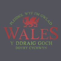 Rugby Welsh Gift Red Dragon Flag Of Wales Vintage Hoodie | Teevron