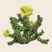 Whipple Cholla Cactus Zipper Hoodie | Teevron