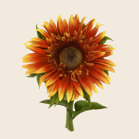 The  Sunflower Zipper Hoodie | Teevron