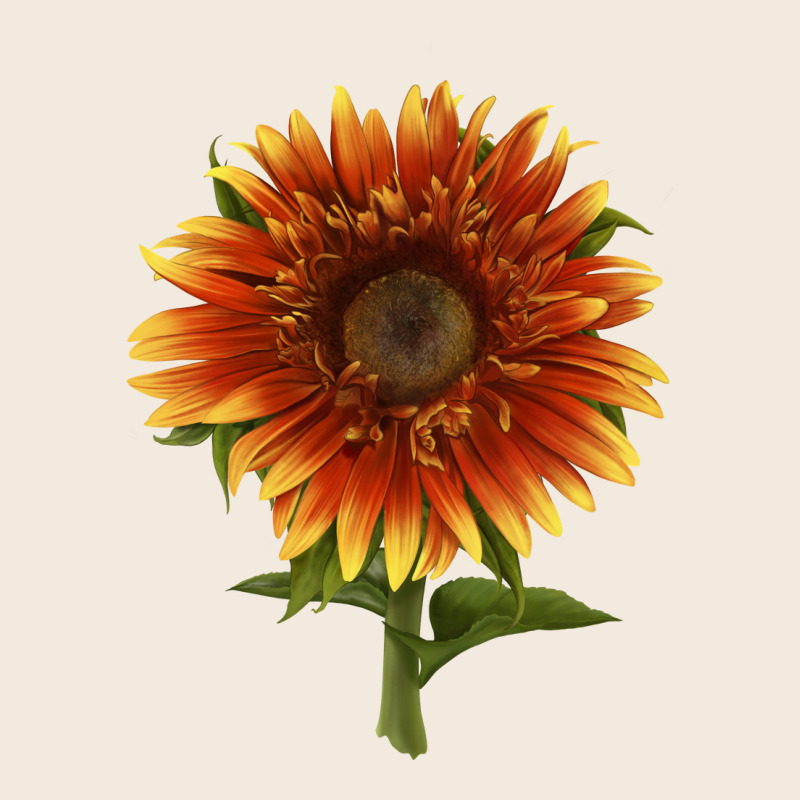 The  Sunflower Zipper Hoodie by LillyAllenDesigns | Teevron