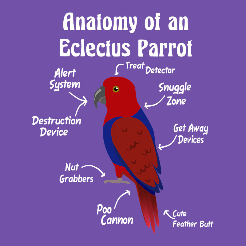 Anatomy Of A Female Eclectus Parrot Premium Sweatshirt by trangStudio | Teevron