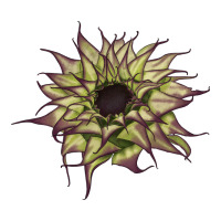 sun   fill purple sunflower | Teevron