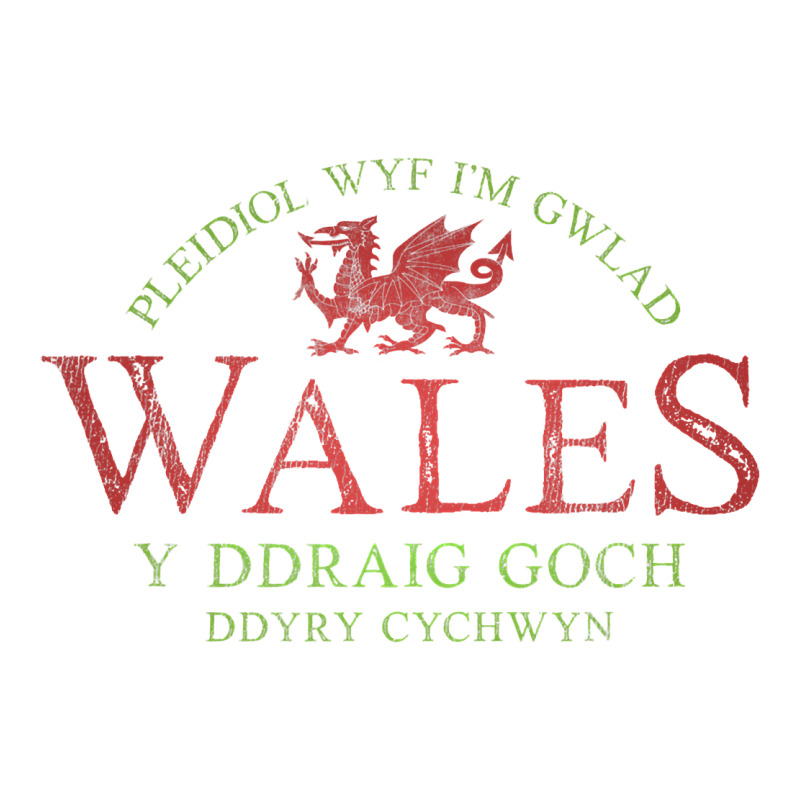 Rugby Welsh Gift Red Dragon Flag Of Wales Premium Sweatshirt by trangStudio | Teevron