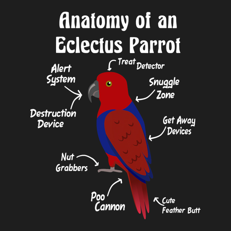 Anatomy Of A Female Eclectus Parrot Heavyweight Hoodie by trangStudio | Teevron