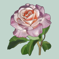 Belinda's Blush Rose Zipper Hoodie | Teevron