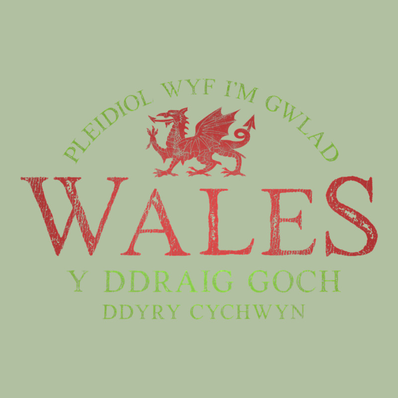 Rugby Welsh Gift Red Dragon Flag Of Wales Urban Hoodie by trangStudio | Teevron