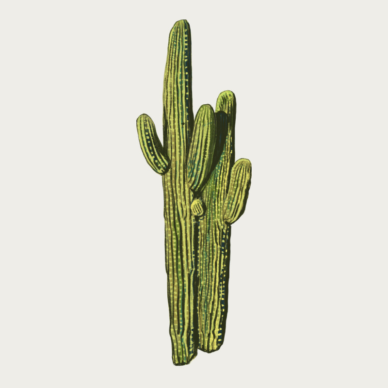 Saguaro Cactus Zipper Hoodie by LillyAllenDesigns | Teevron