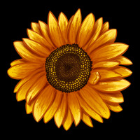 Soraya Sunflower Zipper Hoodie | Teevron
