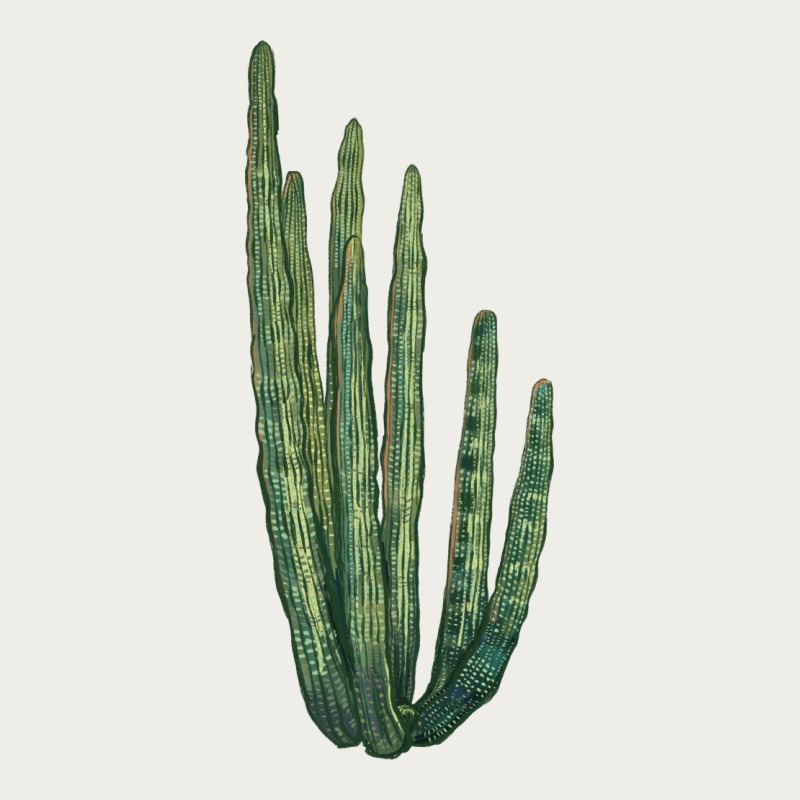 Organ Pipe Cactus Zipper Hoodie by LillyAllenDesigns | Teevron