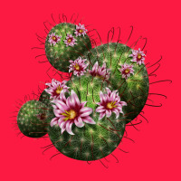 Arizona Fishhook Cacti Zipper Hoodie | Teevron