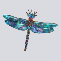 Blue Dragonfly Zipper Hoodie | Teevron