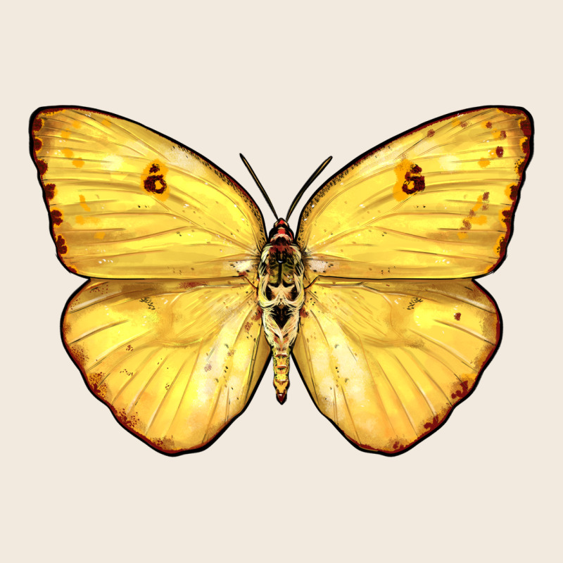 Cloudless Sulphur Butterfly Zipper Hoodie by LillyAllenDesigns | Teevron