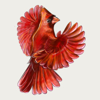 Flying Northern Cardinal Bird Zipper Hoodie | Teevron