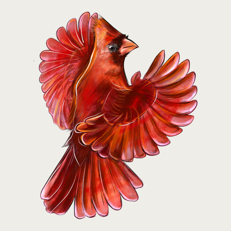 Flying Northern Cardinal Bird Zipper Hoodie by LillyAllenDesigns | Teevron