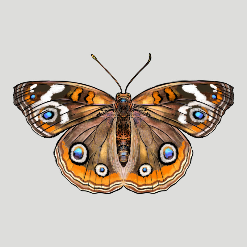 Common Buckeye Butterfly Zipper Hoodie by LillyAllenDesigns | Teevron