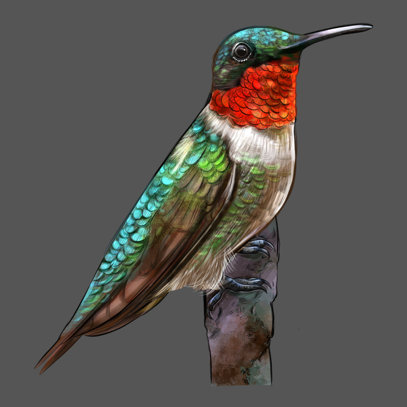 Ruby Throated Hummingbird Bird Zipper Hoodie by LillyAllenDesigns | Teevron