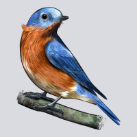 Eastern Bluebird Zipper Hoodie | Teevron