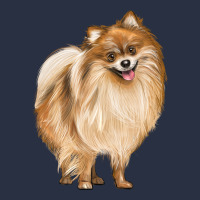 Pomeranian Dog Illustrations Heavyweight Sweatshirt | Teevron