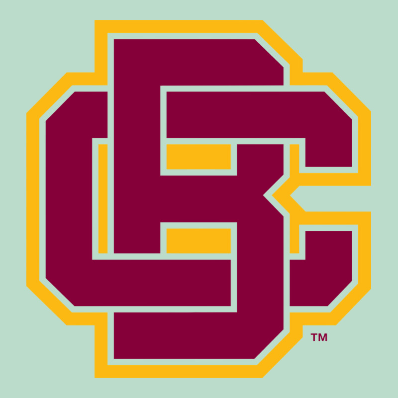 Bethune Cookman Premium Hoodie by DesignPulse | Teevron