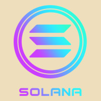 Solana Crypto Sol Coin Blockchain Decentralized Application Long Sleev Premium Hoodie | Teevron