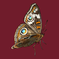 Flying Common Buckeye Butterfly Zipper Hoodie | Teevron