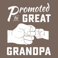 Promoted To Great Grandpa Premium Hoodie | Teevron