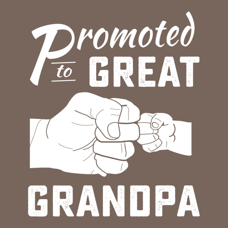 Promoted To Great Grandpa Premium Hoodie by PixelWave | Teevron