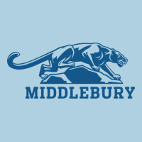 Middlebury Panthers Premium Hoodie | Teevron