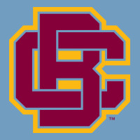 Bethune Cookman Urban Heavy Tee | Teevron