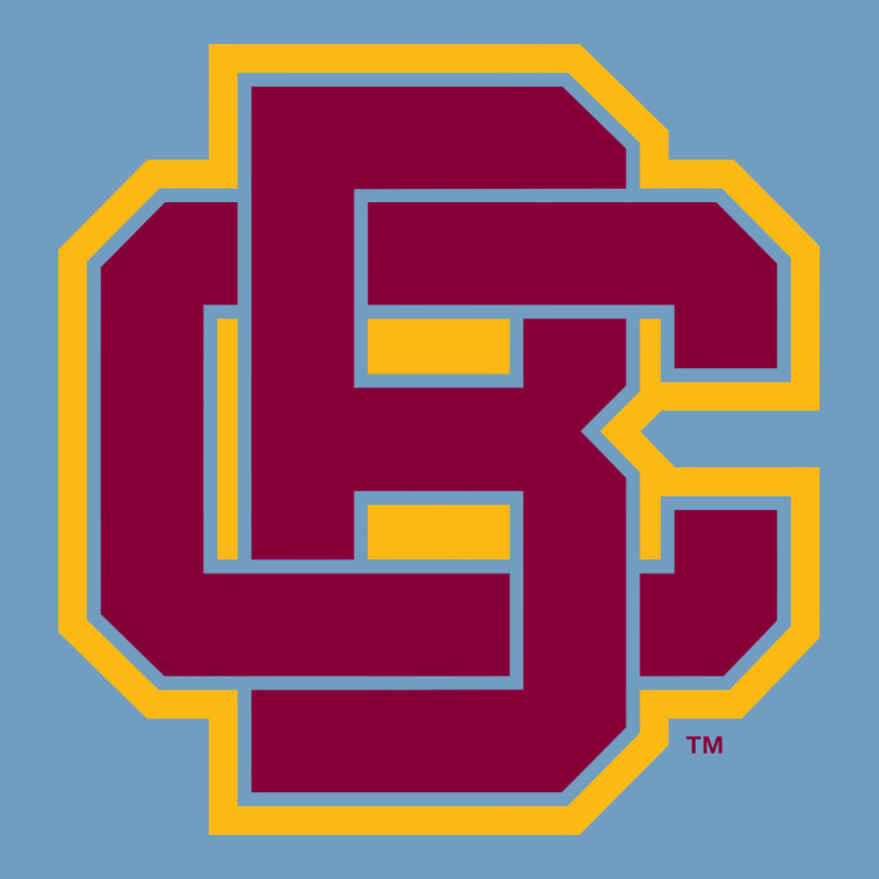 Bethune Cookman Urban Heavy Tee by DesignPulse | Teevron