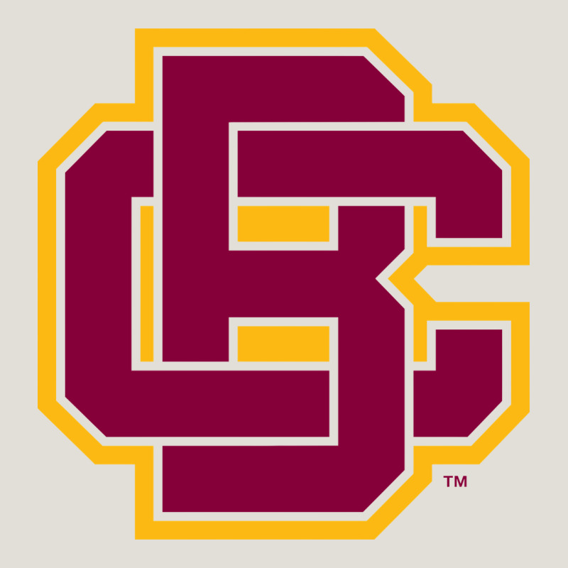 Bethune Cookman Heavy Core Tee by DesignPulse | Teevron