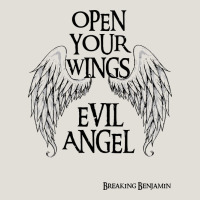 Breaking Benjamin Heavy Core Tee | Teevron