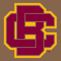 Bethune Cookman Premium Tee | Teevron