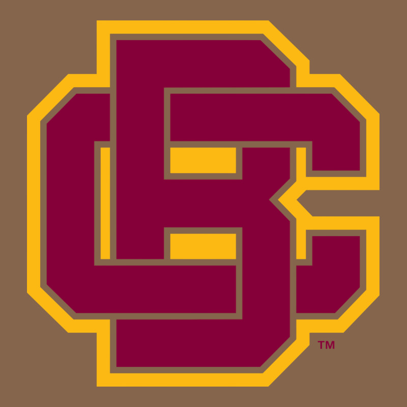 Bethune Cookman Premium Tee by DesignPulse | Teevron