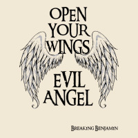 Breaking Benjamin Premium Tee | Teevron