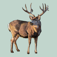 Mule Buck Deer Zipper Hoodie | Teevron