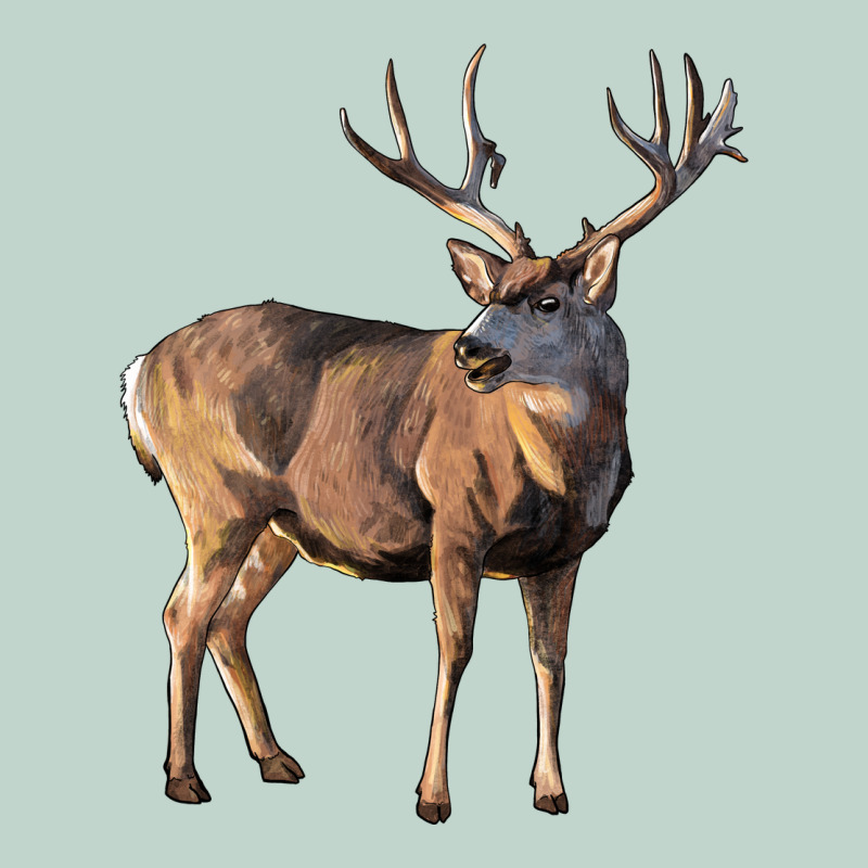 Mule Buck Deer Zipper Hoodie by LillyAllenDesigns | Teevron