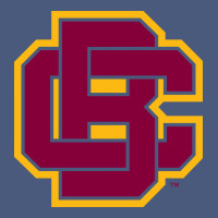 Bethune Cookman Vintage Hoodie | Teevron