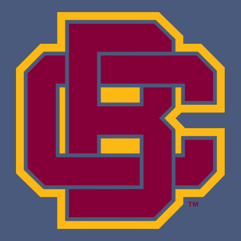 Bethune Cookman Vintage Hoodie by DesignPulse | Teevron
