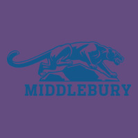 Middlebury Panthers Vintage Hoodie | Teevron