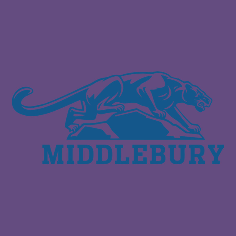 Middlebury Panthers Vintage Hoodie by Craftify | Teevron