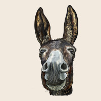 Donkey  Face Zipper Hoodie | Teevron