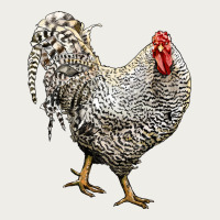 Dominique Rooster Zipper Hoodie | Teevron