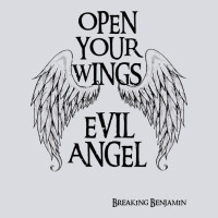 Breaking Benjamin Zipper Hoodie | Teevron