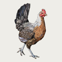 American Game Chicken Zipper Hoodie | Teevron
